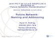 Future Network:  Naming and Addressing