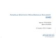 Amadeus Electronic Miscellaneous Document  EMD