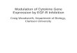 Modulation of Cytokine Gene Expression by EGF-R Inhibition