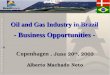 Oil and Gas Industry in Brazil - Business Opportunities -