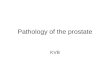 Pathology of the prostate