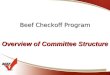 Beef Checkoff Program Overview of Committee Structure