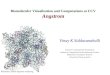 Biomoleculer Visualization and Computations at CCV Angstrom