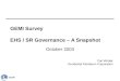 GEMI Survey EHS / SR Governance – A Snapshot