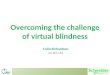 Overcoming the challenge of virtual  blindness