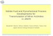 Nitride Fuel and Pyrochemical Process  Developments for  Transmutation of Minor Actinides in JAERI