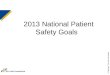 2013 National Patient Safety Goals