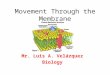 Movement Through the Membrane