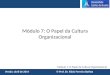 Módulo 7: O Papel da Cultura Organizacional