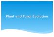 Plant and Fungi Evolution