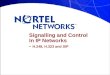 Signalling and Control  In IP Networks -  H.248, H.323 and SIP