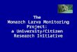 The  Monarch Larva Monitoring Project:  a University/Citizen  Research Initiative