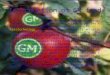 Introduction of GM food