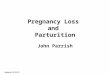 Pregnancy Loss  and  Parturition