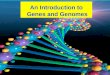 An Introduction to  Genes and Genomes