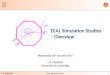 ECAL Simulation Studies â€“ Overview
