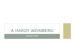 A Hardy  Weinberg