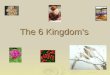 The 6 Kingdom’s