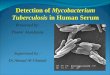 Detection of  Mycobacterium Tuberculosis  in Human Serum