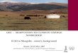 Mongolia  – country background