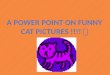 A power point on funny  Cat pictures !!!!