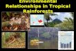 Environmental Relationships in Tropical Rainforests