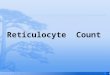Reticulocyte   Count