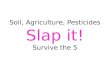 Soil, Agriculture, Pesticides Slap it! Survive the 5