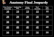 Anatomy Final Jeopardy