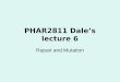 PHAR2811 Dale’s lecture 6