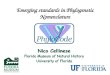 Emerging standards in Phylogenetic Nomenclature