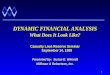DYNAMIC FINANCIAL ANALYSIS What Does It Look Like?