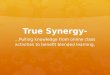 True Synergy-