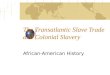 The Transatlantic Slave Trade and Colonial Slavery