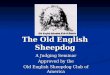 The Old English Sheepdog
