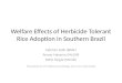 Welfare Effects of Herbicide Tolerant Rice Adoption in Southern Brazil