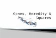 Genes, Heredity & Punnett Squares