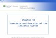 Chapter 42 Structure and Function of the Skeletal System
