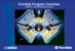 Fermilab  Program Overview P.Oddone , PAC Meeting June 22,2011