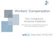 WSCC OVERVIEW Compensation side  - Meredith Principles