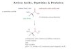 Amino Acids, Peptides & Proteins
