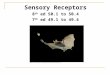 Sensory Receptors 8 th  ed 50.1 to 50.4 7 th  ed 49.1 to 49.4