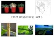 Plant Responses: Part 1