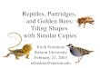 Reptiles, Partridges,  and Golden Bees: Tiling Shapes  with Similar Copies
