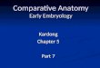 Comparative Anatomy Early Embryology