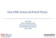 View of BNL Nuclear and Particle Physics
