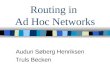 Routing in  Ad Hoc Networks