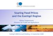 Soaring Food Prices  and the  EastAgri  Region