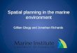 Spatial planning in the  marine environment