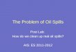 The Problem of Oil Spills